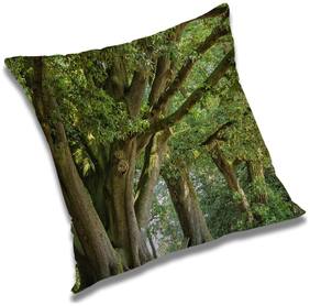 RADANYA Printed Cushion Cover with Filler Set 16x16 inch