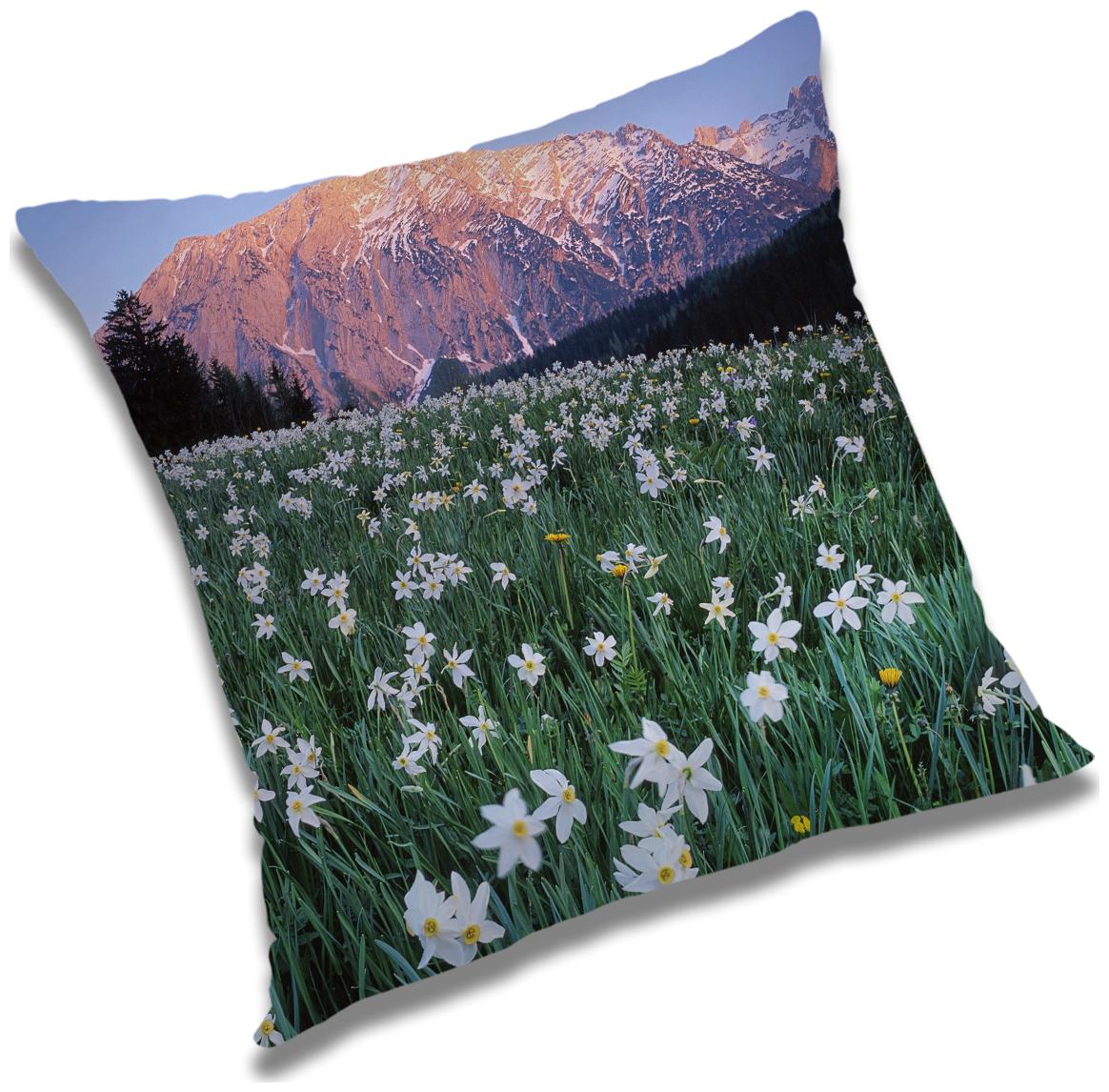 https://assetscdn1.paytm.com/images/catalog/product/H/HO/HOMRADANYA-PRINRADA993403FC299147/1563118381506_0..jpg