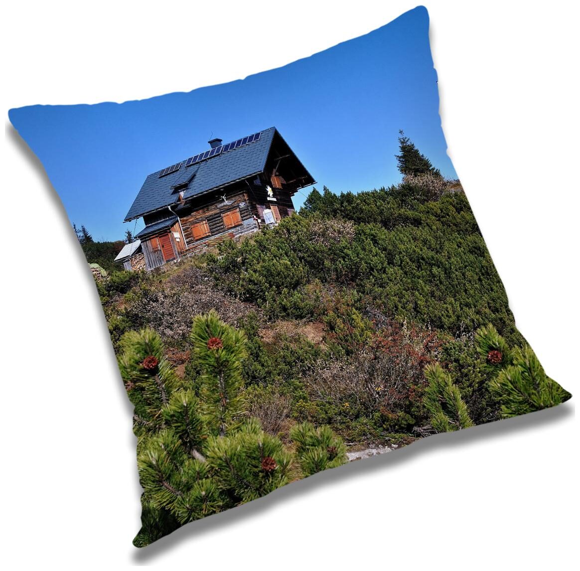

RADANYA Printed Cushion Cover with Filler Set 24x24 inch