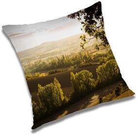 RADANYA Printed Cushion Cover with Filler Set 16x16 inch