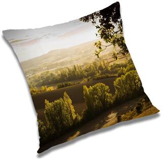 RADANYA Printed Cushion Cover with Filler Set 16x16 inch