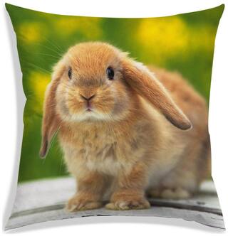 RADANYA Printed Cushion Cover 20x20 inch