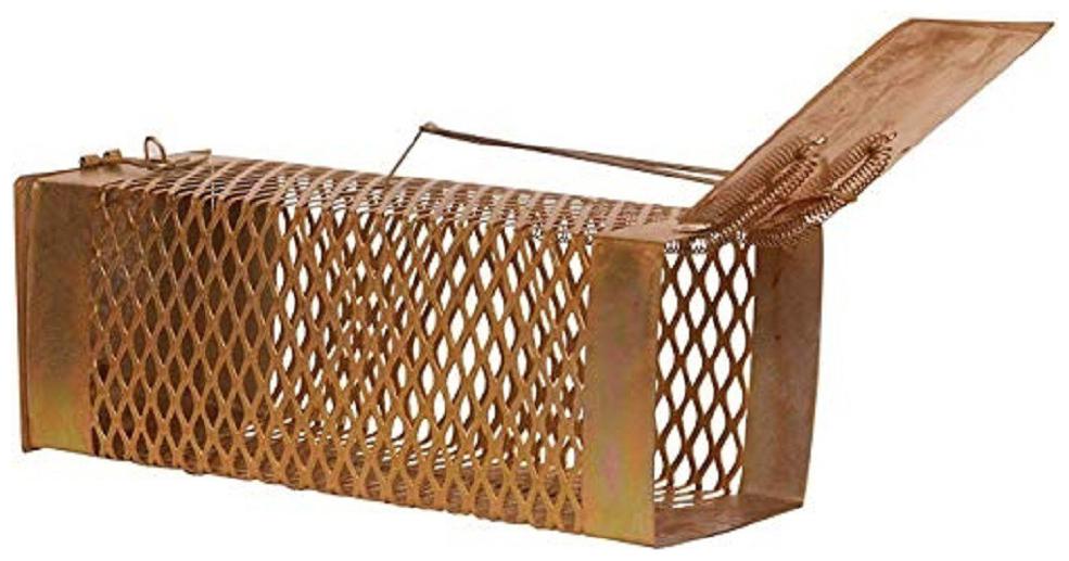 

Ramanta Small Iron Rat Trap Rodent cage Mouse Control(22 cms X 9 cms X 8 cms) Live Trap