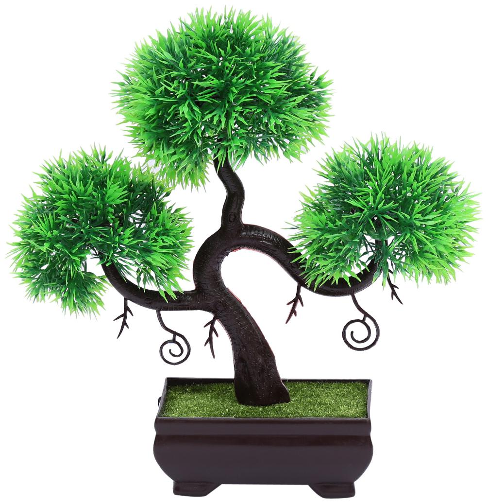 

Random S Shaped Bonsai Tree with Thin and Pointy Green Leaves