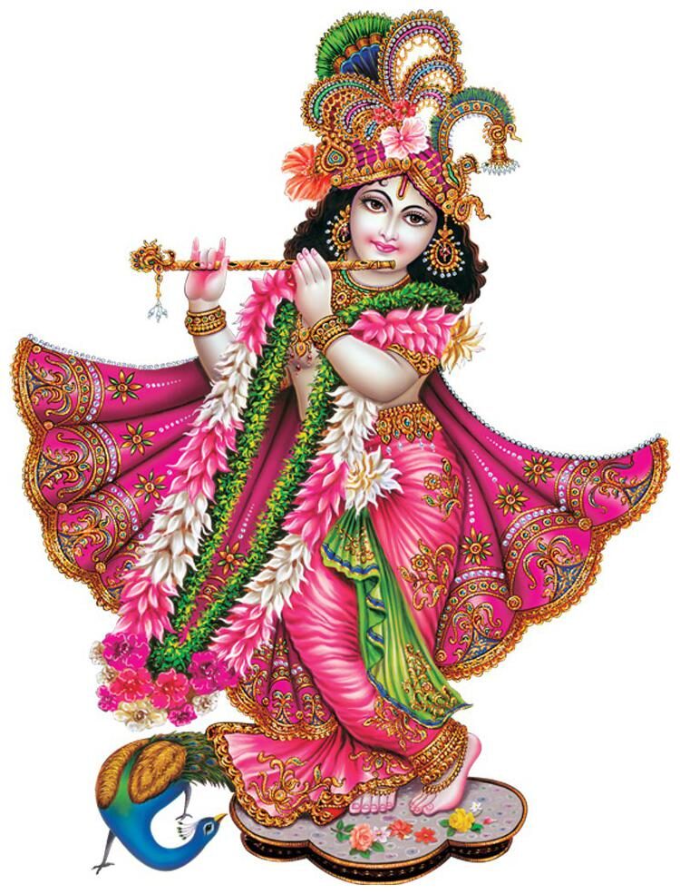 

Rangoli Large Waterproof Wall Sticker -Set of 1