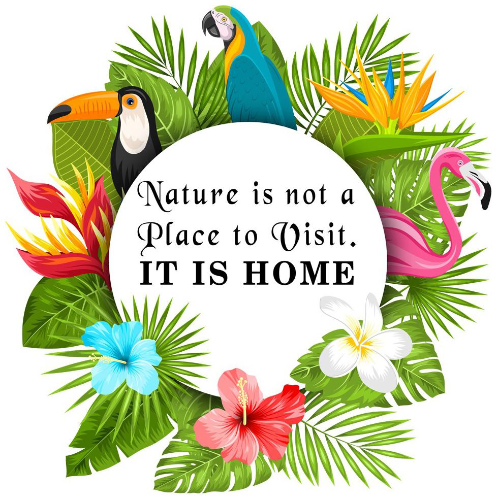 

Rangoli Large Waterproof Wall Sticker -Set of 1