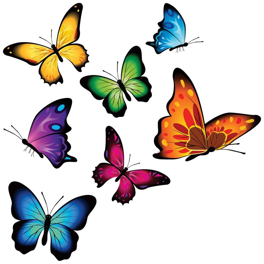 

Rangoli Large Waterproof Wall Sticker -Set of 1