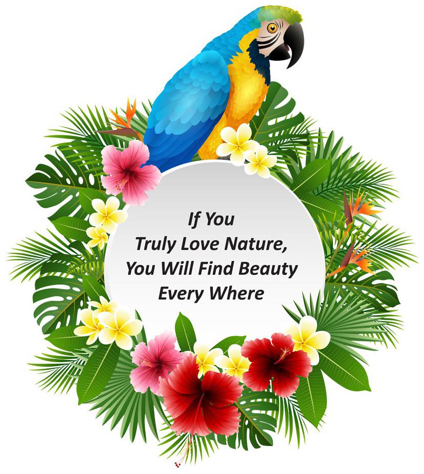 

Rangoli Large Waterproof Wall Sticker -Set of 1