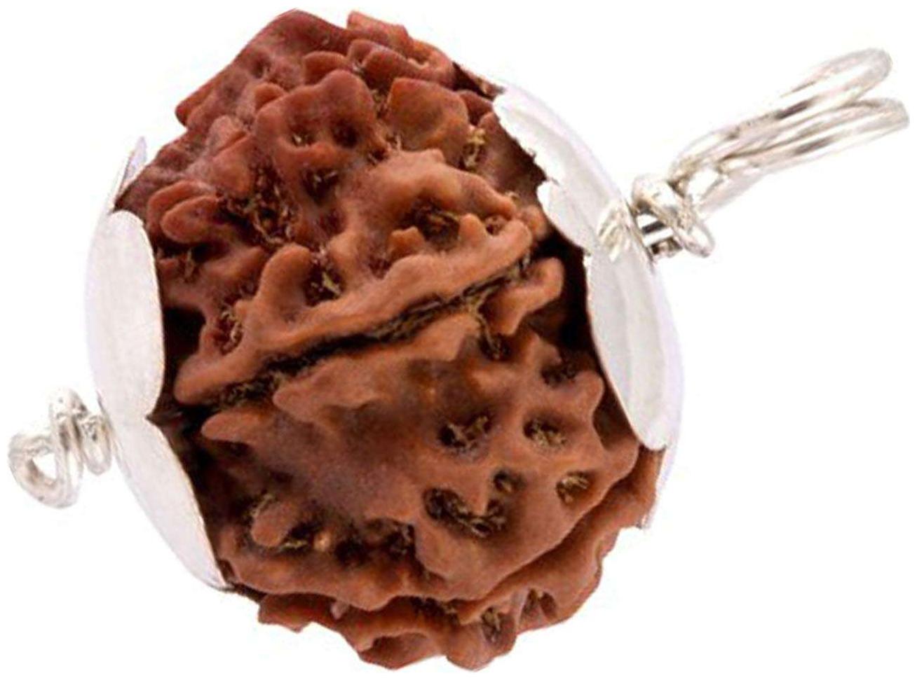 

Rebuy Original Eight Mukhi Indonesian Rudraksh With Real Silver Pendant
