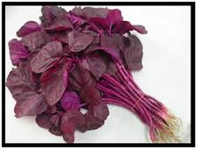 Red Spinach Seeds For Vegetable Garden-1000 Seeds by Creative Farmer