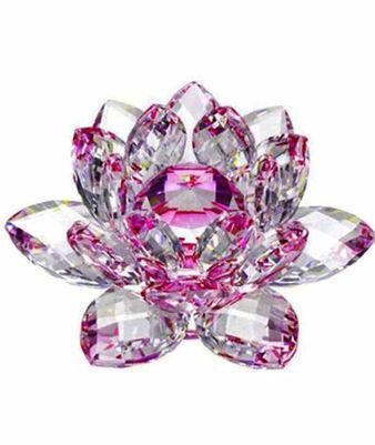 

Rekha Collection LOTUS