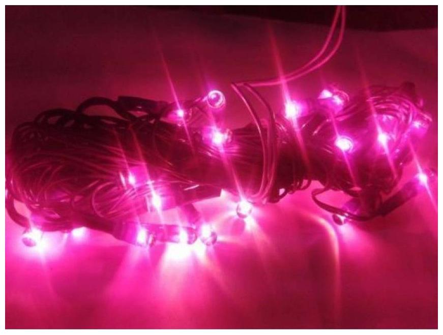 

Ac Rice Light Decoration Lighting for Diwali Christmas (Pink Color)