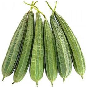 Ridge Gourd Seeds - Turai Tura Luffa Jhinga Seeds - Vegetable Seeds For Planting : Kitchen Garden Pack by Creative Farmer