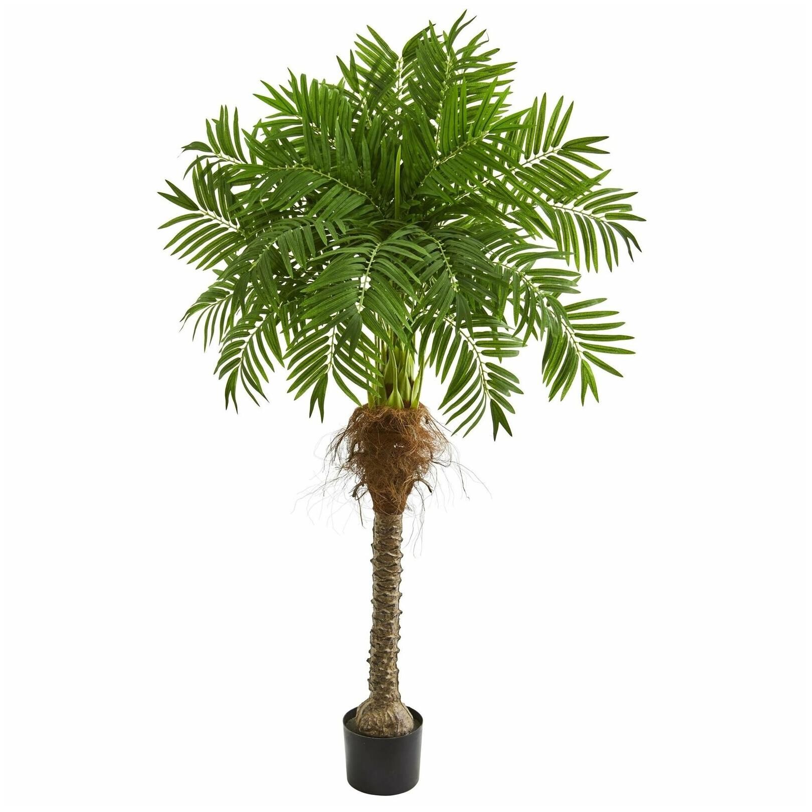 

Robellini Palm 5-foot 5-inch Artificial Tree