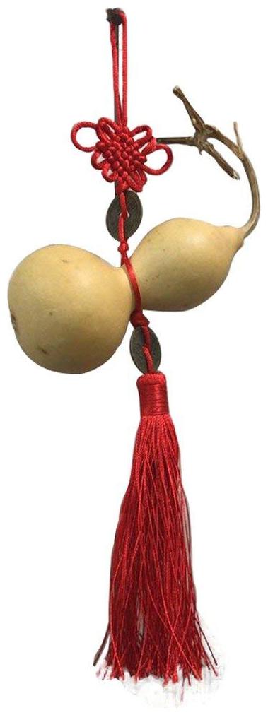 

Ryme Feng Shui Wu Lou Gourd Charm with Chinese Coins Feng Shui for Health - Calabash