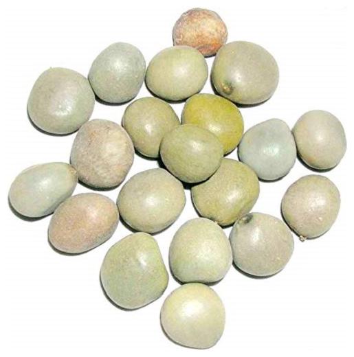 

Sagargota Katkaranj Fever Nut Caesalpinia Bondus Vajra Bijaka Indian Beech Letaguti 100g