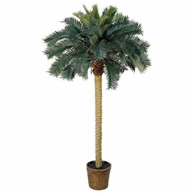 

Sago Palm 6-foot Silk Tree Green