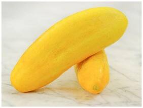 Sambar Cucumber Seeds For Gardening-30 Seeds by Creative Farmer