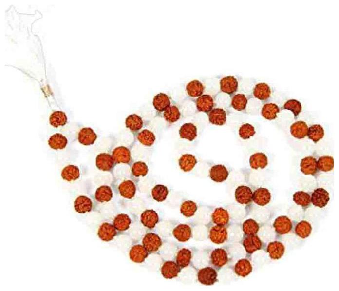 

Sandeep 5 Mukhi Nepal Rudraksha
