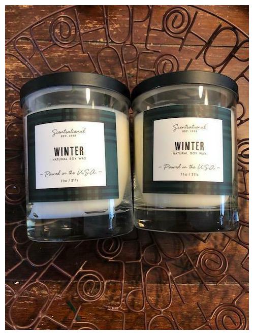 

Scentsational Candle Lot of 2 11 oz Winter White Scents Snow Christmas Decor
