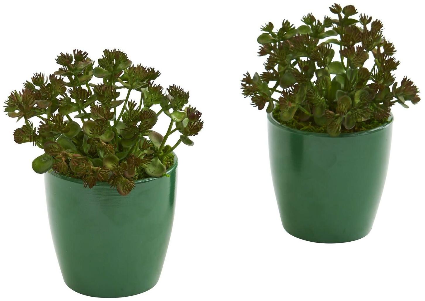 

Sedum Succulent Artificial Plant in Green Planter (Set of 2)
