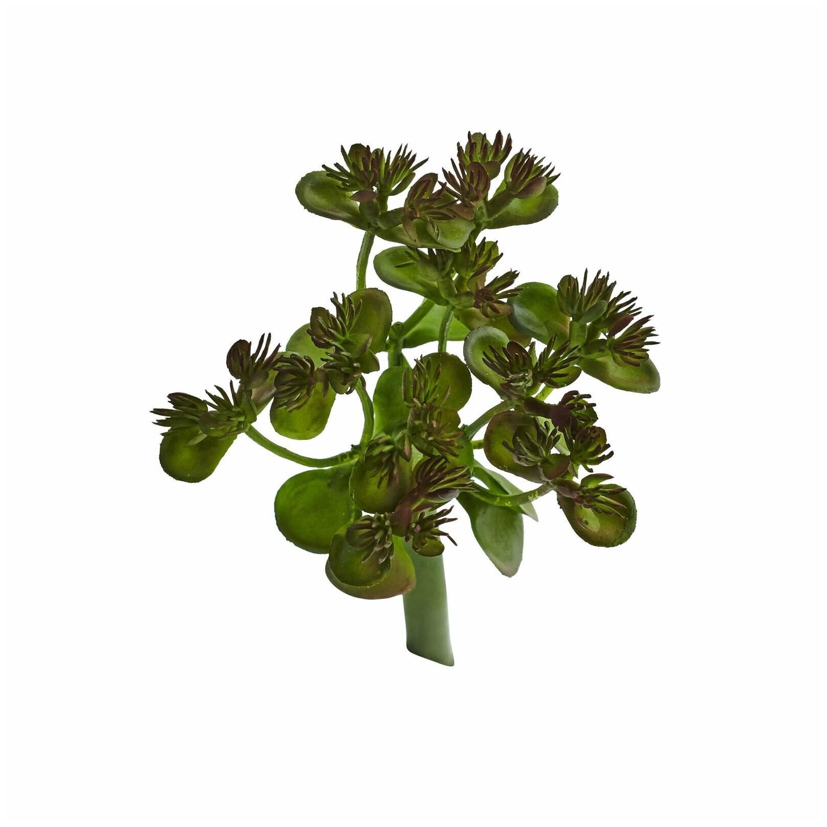 

Sedum Succulent Artificial Plant (Set of 12)