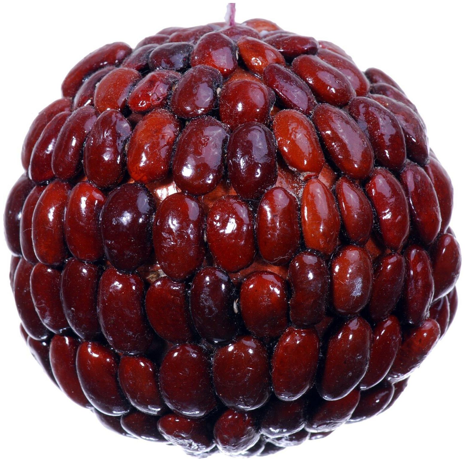 

Seed Bean Mosaic Decorative Kissing Ball Ornament Natural Christmas Tree 452c