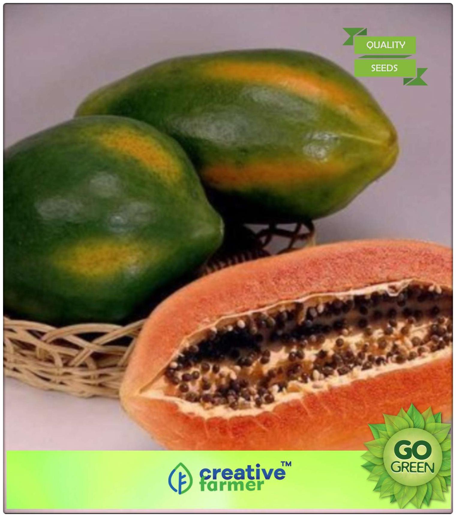 https://assetscdn1.paytm.com/images/catalog/product/H/HO/HOMSEEDS-FRUIT-CREA887471105FE2E/1563036551879_0..jpg