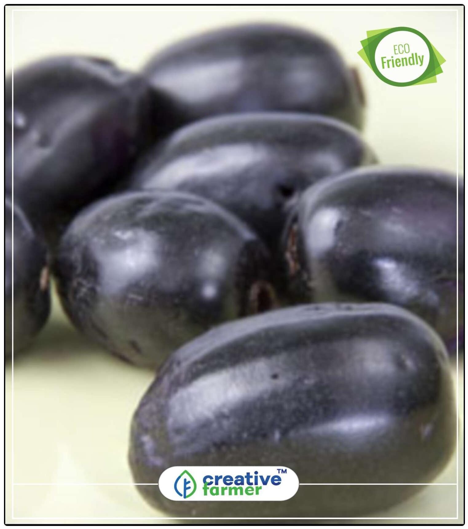https://assetscdn1.paytm.com/images/catalog/product/H/HO/HOMSEEDS-FRUIT-CREA887473F67B53A/1563104880284_0..jpg