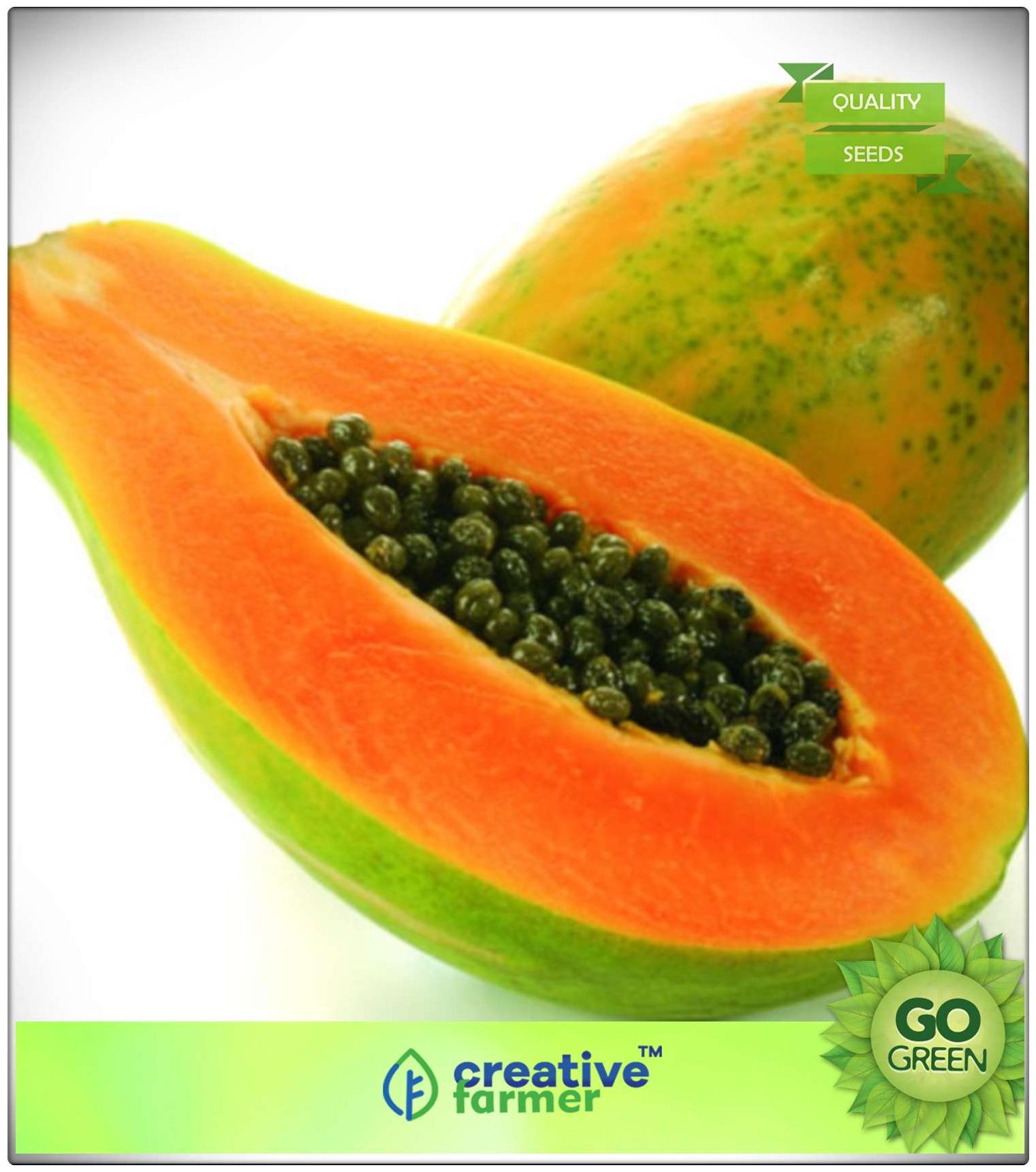 https://assetscdn1.paytm.com/images/catalog/product/H/HO/HOMSEEDS-FRUIT-CREA8874798A557/1563036951356_0..jpg