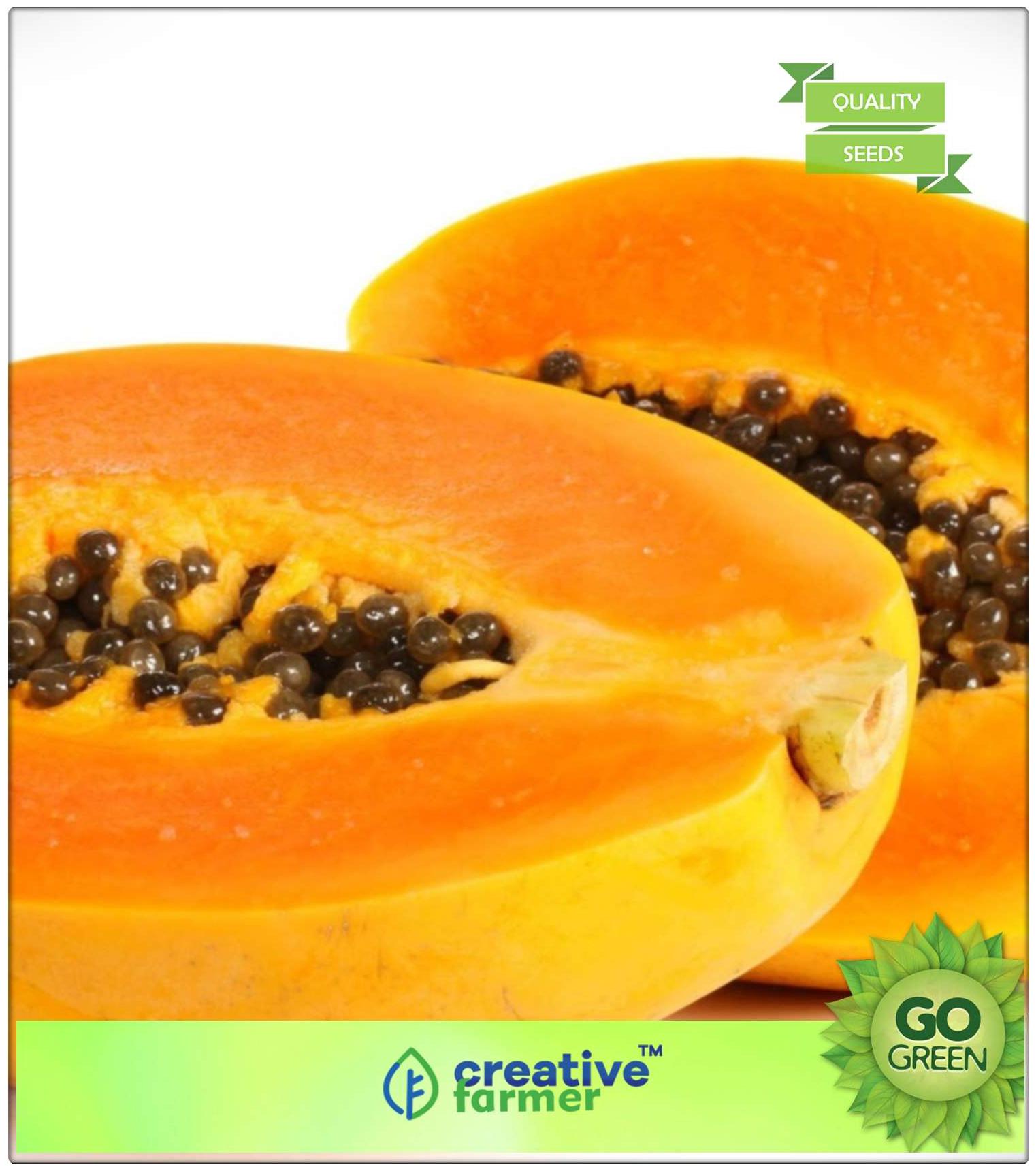 https://assetscdn1.paytm.com/images/catalog/product/H/HO/HOMSEEDS-FRUIT-CREA88747E26A10D7/1563036882472_0..jpg