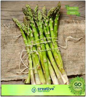 Seeds : Herb Seeds For Home Garden : Asparagus Native To Northern Africa Premium Economy Kitchen Garden Plant Seeds