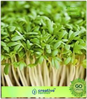 Seeds : Herb Seeds For Garden : Mustard And Cress Premium Economy Kitchen Garden Plant Seeds