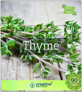 Seeds : Herb Seeds For Planting : Thymus Vulgaris Thyme Premium Economy Kitchen Garden Plant Seeds