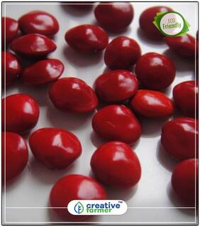 Seeds : Lucky Plants For Home As Per Vastu Herbal Tree Seeds Red Dye Wood Seeds Herb Seeds For Shade Tree Economy Gardening Plant Seeds