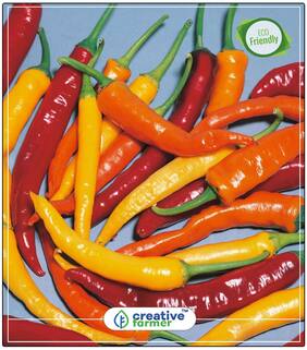 Seeds : Ornamental Chilli Red;Orange;Yellow;Purple;Lavender;And White Mixed Vegetable Seeds Economy Gardening Plant Seeds