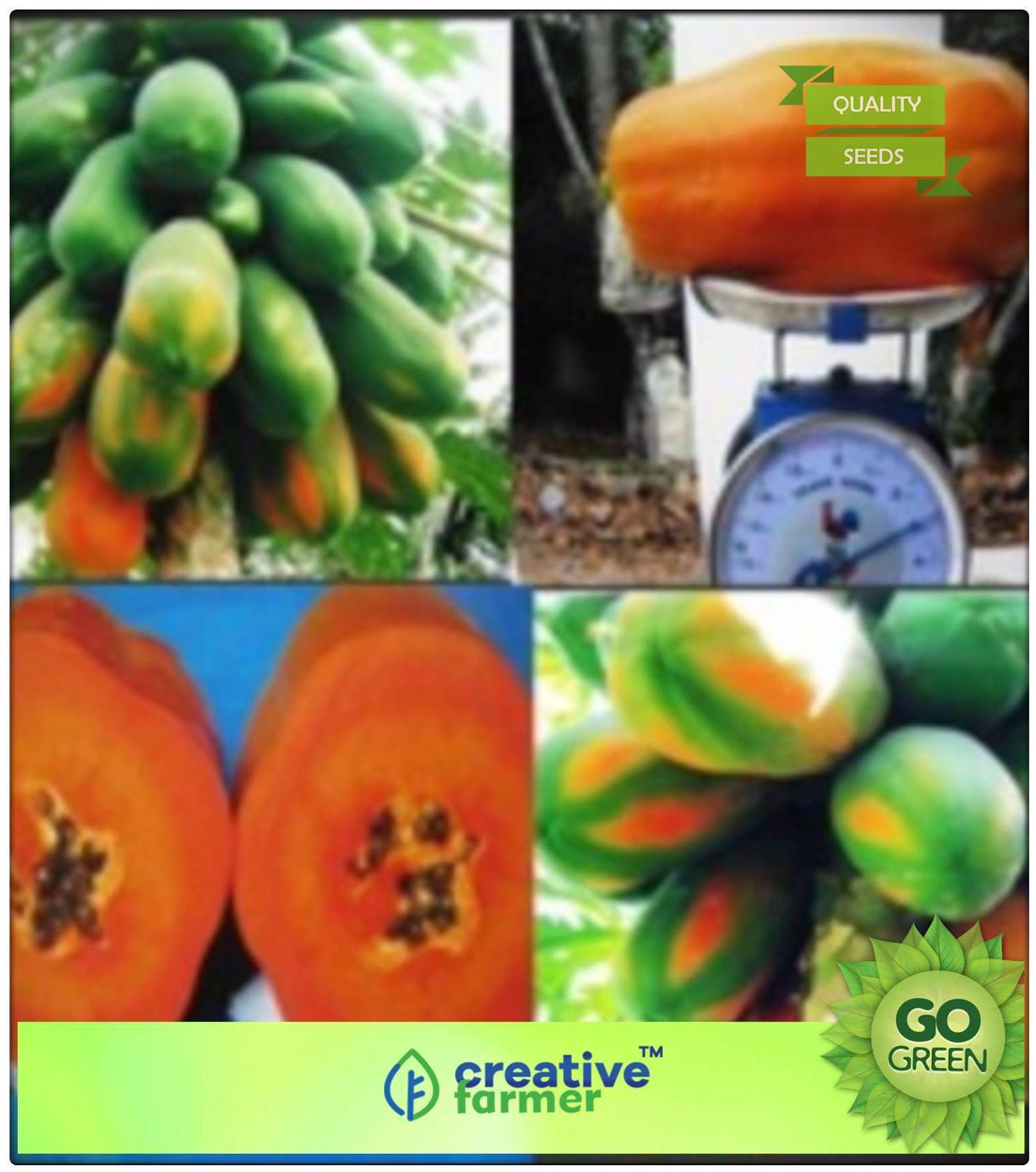 https://assetscdn1.paytm.com/images/catalog/product/H/HO/HOMSEEDS-PAPAYACREA887478D5C7455/1563036577037_0..jpg