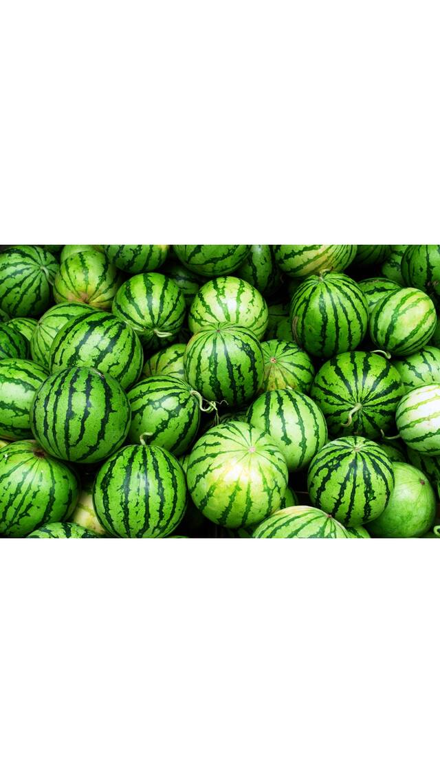Seeds Watermelon Green Tarbooz Fast Germination Seeds For Kitchen Garden - Pack of 30 Hybrid Seeds