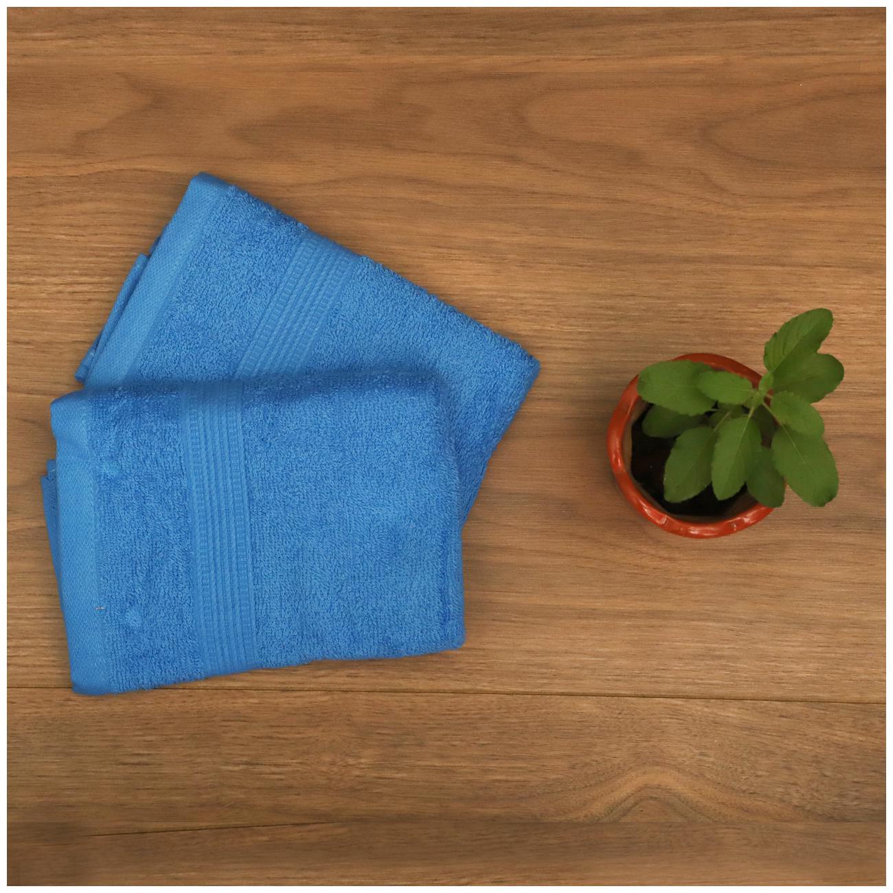 

SEEVO 425 GSM Cotton Hand Towel ( 2 Pieces Blue )