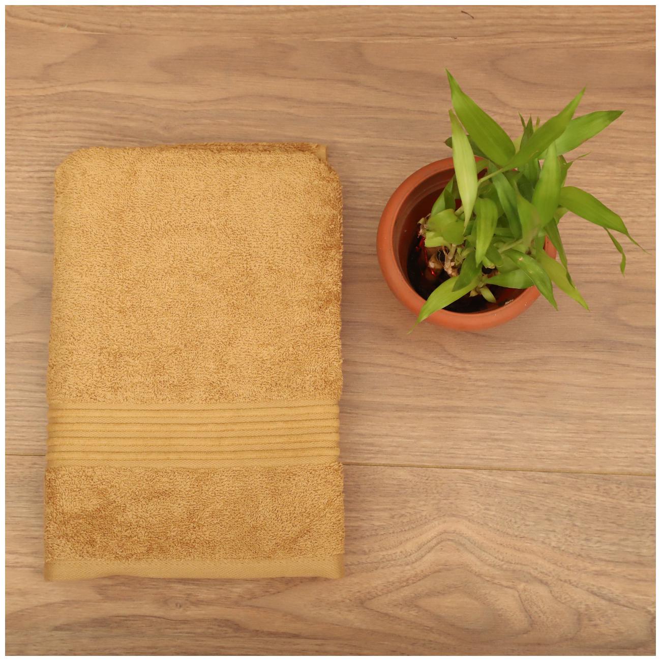 

SEEVO 450 GSM Cotton Hand Towel ( 2 Pieces Gold )