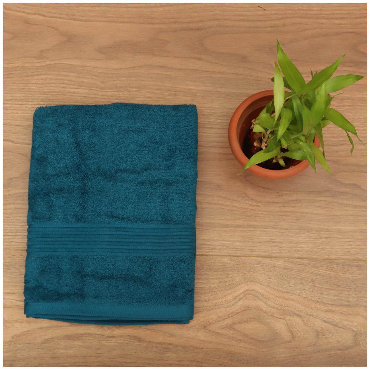 

SEEVO 450 GSM Cotton Hand Towel ( 2 Pieces Blue )
