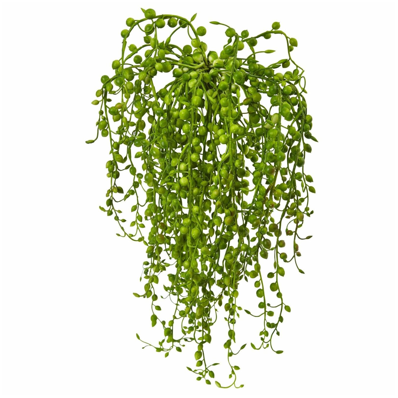 

Senecio Artificial Succulent (Set of 3)