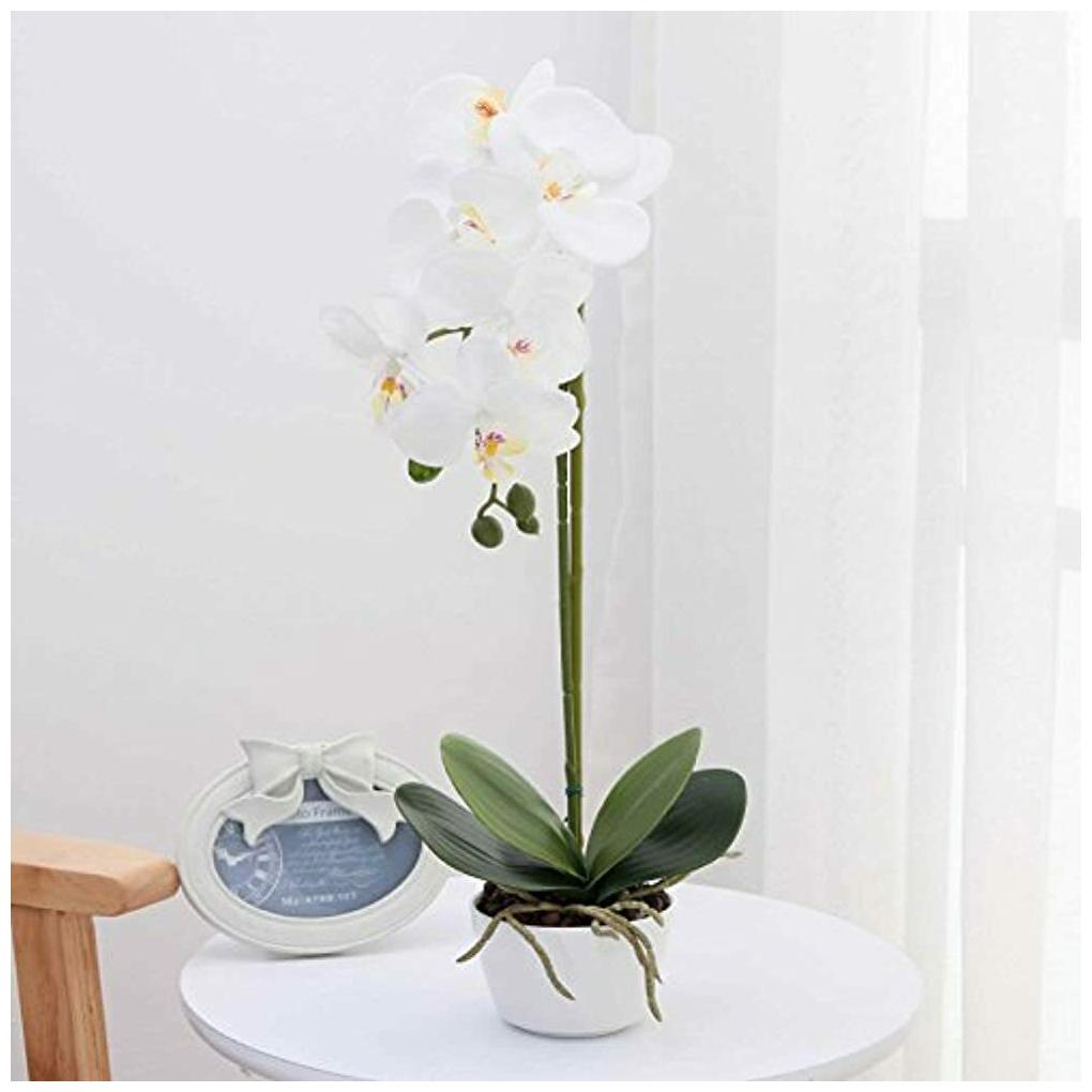 

Silk Vases Phalaenopsis Flower Arrangement Artificial Orchid Flowers With White
