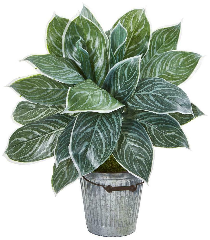 

Silver Aglonema Artificial Silk Plant in Decorative Bucket 24 Realistic Decor