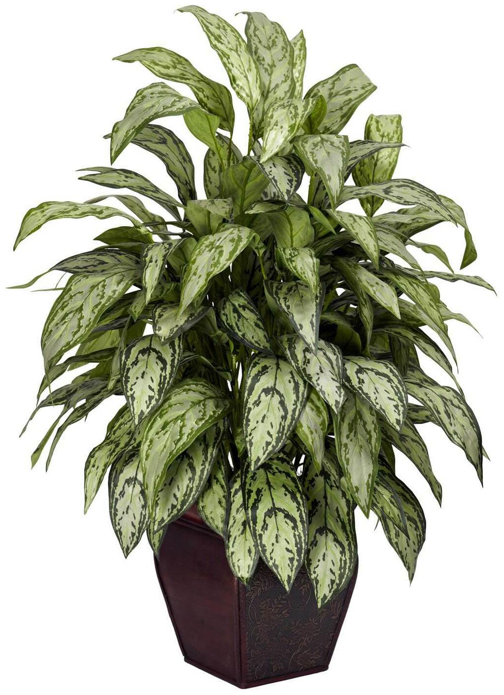 

Silver Queen Decorative Planter Silk Plant