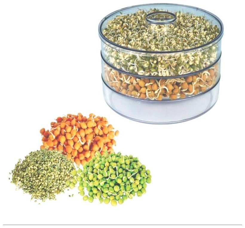 

SKYFLY Hygienic Sprout Maker with 3 Compartments for Multi Purpose Use - 1 L Plastic Grocery Container Utility Box