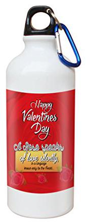 

Skytrends Aluminium Multi Water Bottle ( 750 ml Set of 1 )