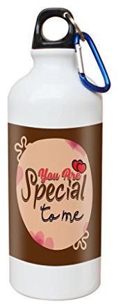 

Skytrends Aluminium Multi Water Bottle ( 750 ml Set of 1 )