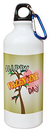 

Skytrends Aluminium Multi Water Bottle ( 750 ml Set of 1 )