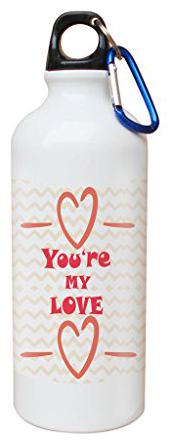 

Skytrends Aluminium Multi Water Bottle ( 750 ml Set of 1 )